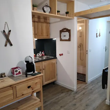 Magnifique Confort 24 M2 Pied Des Pistes Apartamento