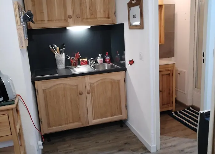 Magnifique Confort 24 M2 Pied Des Pistes