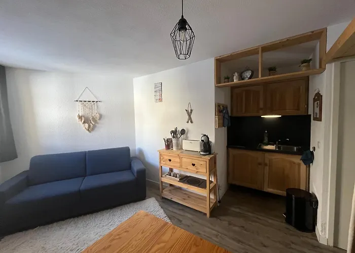 Magnifique Confort 24 M2 Pied Des Pistes Allos