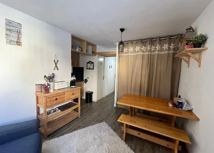 Magnifique Confort 24 M2 Pied Des Pistes Allos